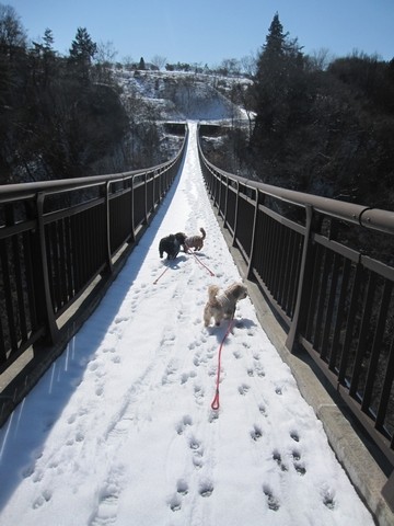 信州 長野県 生坂村 雪