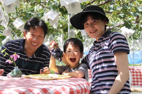 長野県 生坂村 ぶどう狩り 巨峰狩り 季来里ふぁーむすずき