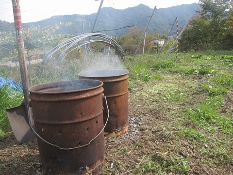 信州 長野県 生坂村 巨峰 きらりふぁーむ