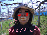 BlogPaint