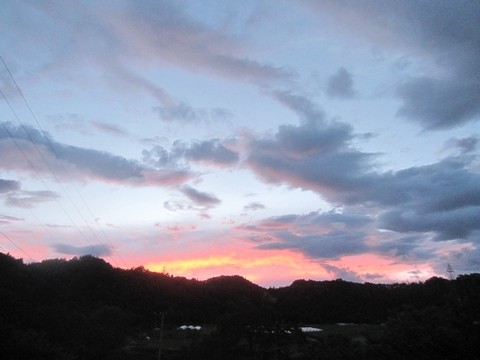 信州 長野県 生坂村 ぶどう観光農園 季来里ふぁーむ・すずき