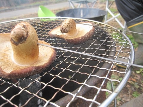 信州 長野県 生坂村 季来里ふぁーむ・すずき