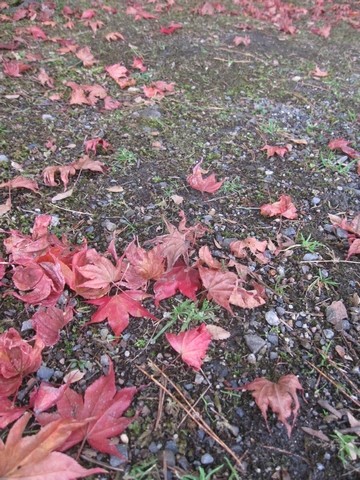 信州 長野県 安曇野 おひさま ロケ地