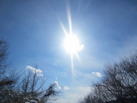 ¿®½£¡¡Ä¹Ì¡¡À¸ºä¼¡¡µ¨ÍèΤ¤Õ¤¡¡¼¤à¡¦¤¹¤º¤¡¡µðÊö