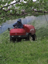 信州 長野県 生坂村 ぶどう