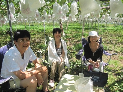 信州 長野県 生坂村 ぶどう きらりふぁーむ
