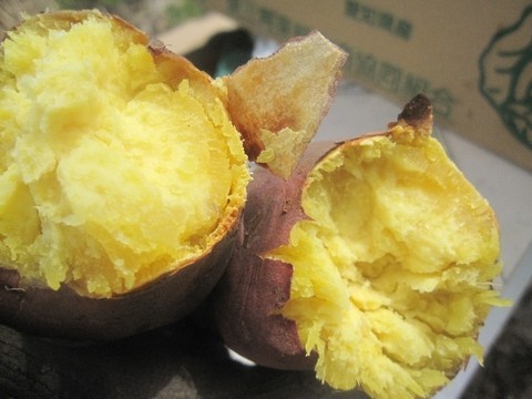 信州 長野県 生坂村 ダッチオーブン アウトドア 焼き芋