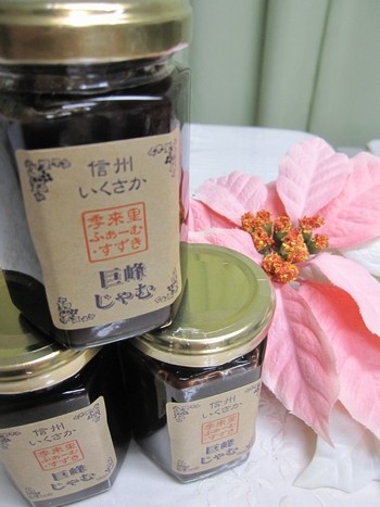 信州 長野県 生坂村 ぶどう