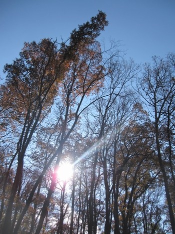 信州 長野県 松本 アルプス公園