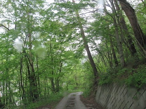 信州 長野県 生坂村 ぶどう きらりふぁーむ