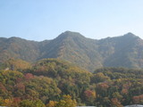 信州 長野県 生坂村 紅葉