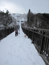 信州 長野 生坂村 吊り橋