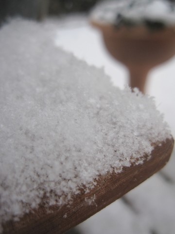 信州 長野県 生坂村 雪