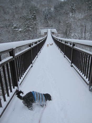 信州 長野県 生坂村 吊り橋