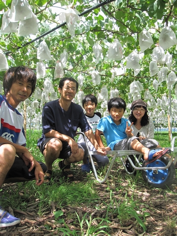 信州 長野県 生坂村 巨峰