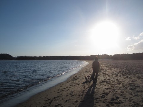 神奈川県 海の公園