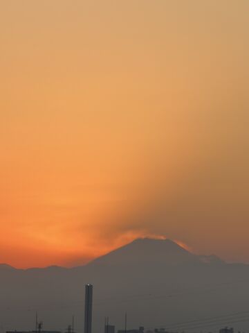 IMG_8968