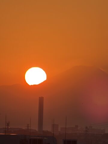 IMG_8958