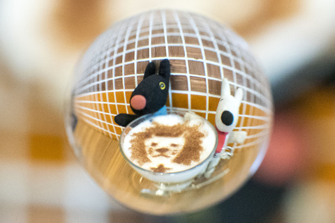 しし座宙玉