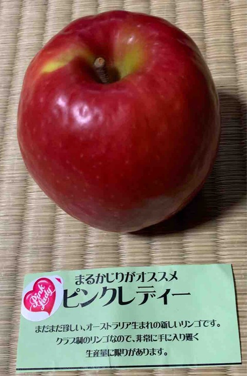 ピンクレディー 吹奏楽 楽長の独り言 クラシックなやつ ピンクレディー 吹奏楽 楽長の独り言 クラシックなやつ