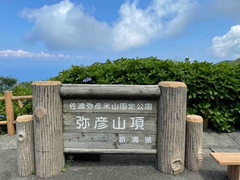 弥彦山頂の看板