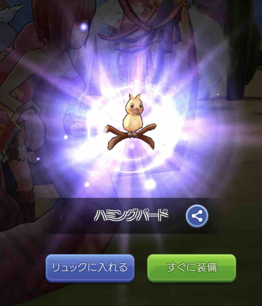 ペットの装備事情 ラグマス日記 バーチャルネット妹ハンターみいしゃ16歳