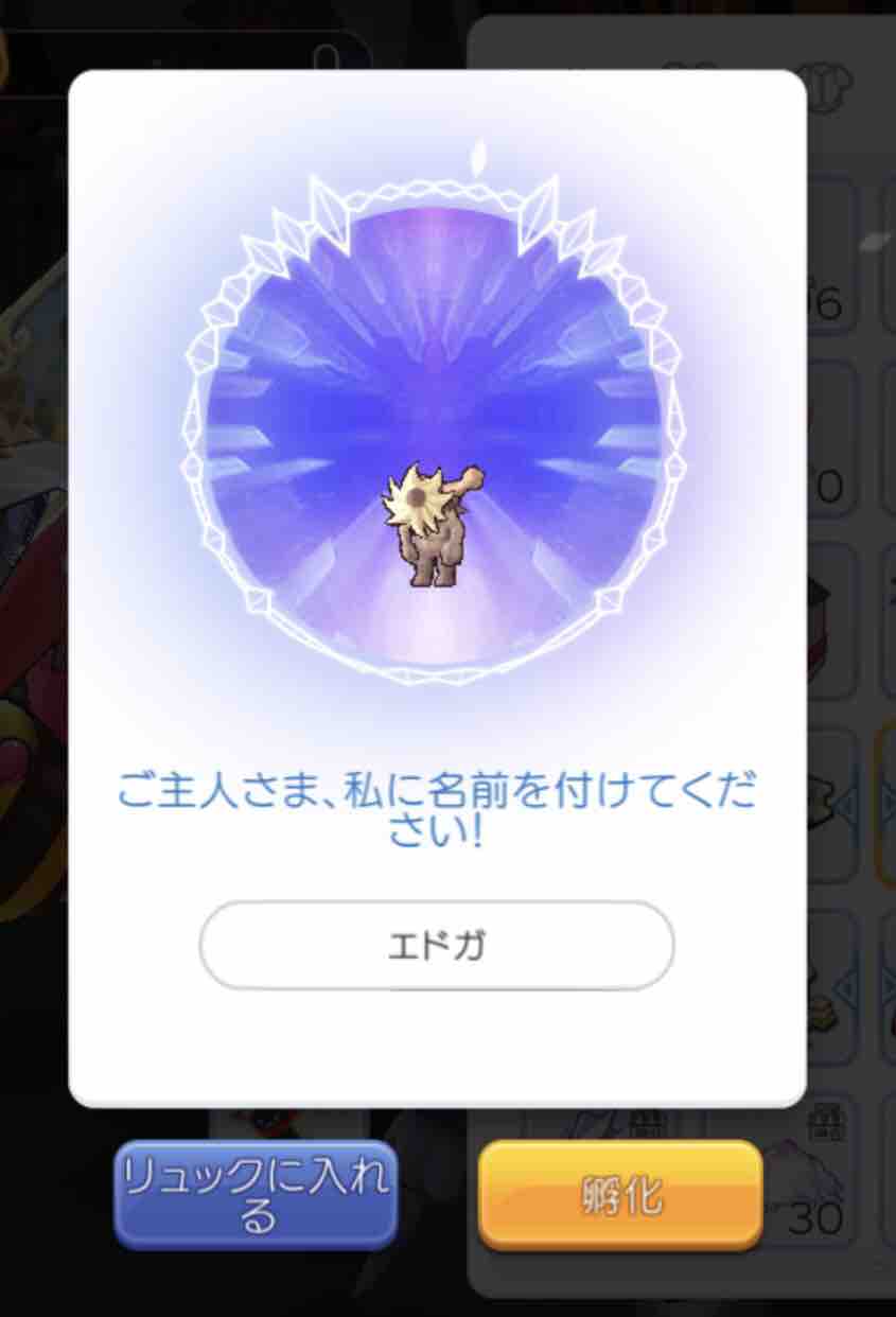 D級冒険者へ ラグマス日記 バーチャルネット妹ハンターみいしゃ16歳 D級冒険者へ ラグマス日記 バーチャルネット妹ハンターみいしゃ16歳