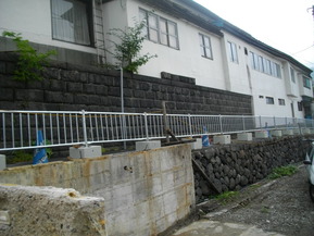 IMGP5899