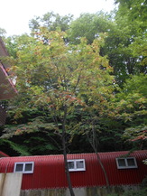 DSCN1251