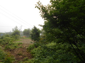 DSCN1254