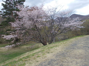 DSCN4093