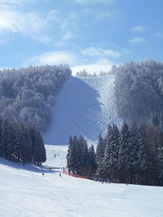 DSCN5119