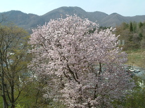 30504¸¼´ØÁ°ºùËþ³«¸áÁ°¡¦Ã롦ͼÊý 006 (2)