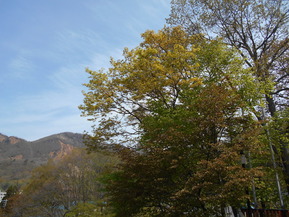 DSCN4227