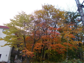 DSCN0960