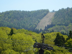 DSCN6577