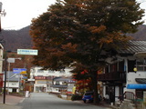 08c5f01f.jpg