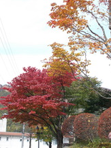DSCN0863
