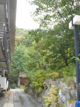 DSCN5476