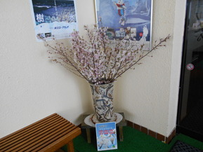 DSCN0584