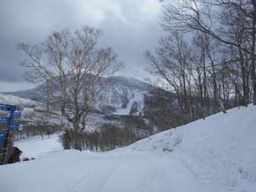 DSCN5491