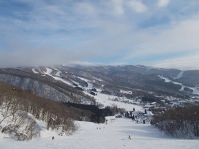 DSCN2318