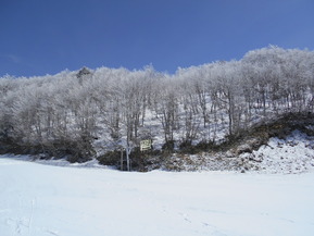 DSCN2092