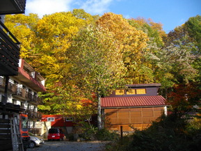 IMGP2567