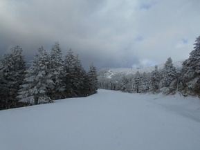 DSCN1655