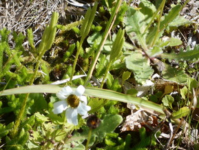 DSCN0884