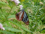 12d52879.jpg