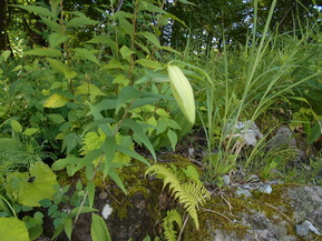 DSCN1108