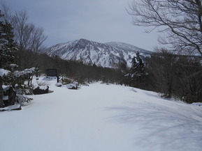 DSCN2236