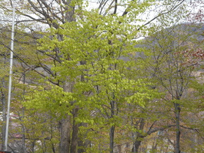 DSCN4189